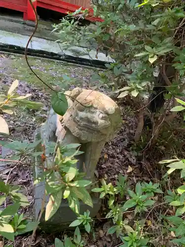 天照大神社の狛犬