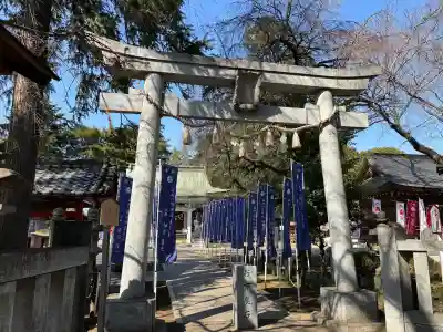 白岡八幡神社(埼玉県)