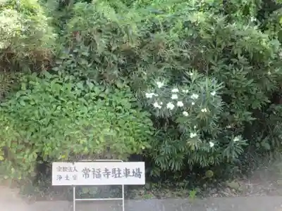 常福寺(神奈川県)