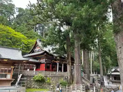 三峯神社(埼玉県)