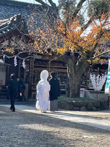 護王神社の結婚式