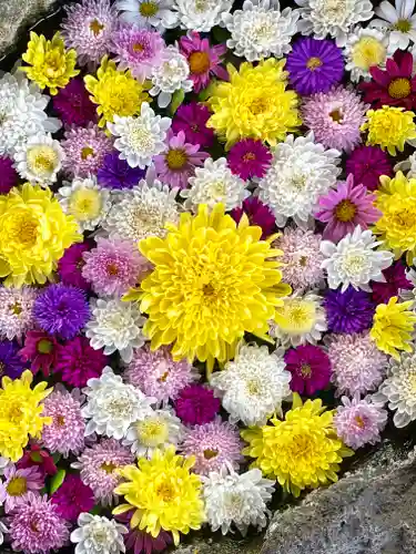 伊達神社の手水舎