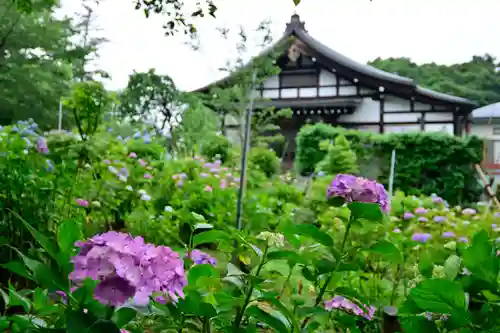 本土寺の庭園