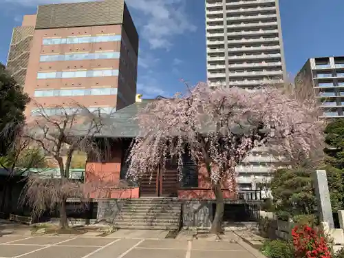 善性寺(東京都)
