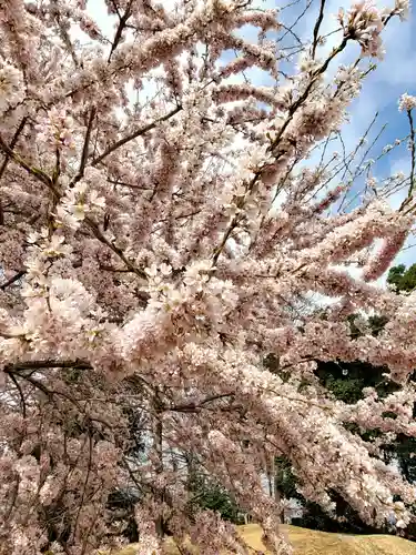 長松院(福島県)