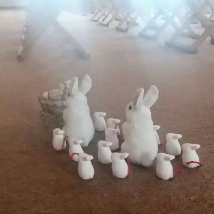 彌彦神社 (伊夜日子神社)の像