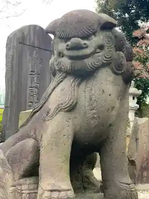 赤羽八幡神社の狛犬
