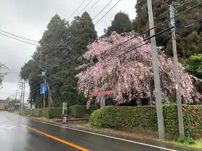 妙宣寺(千葉県)