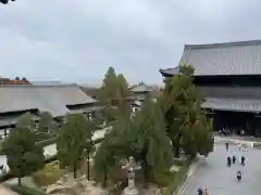 東福禅寺（東福寺）(京都府)