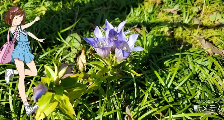 東慶寺(神奈川県)