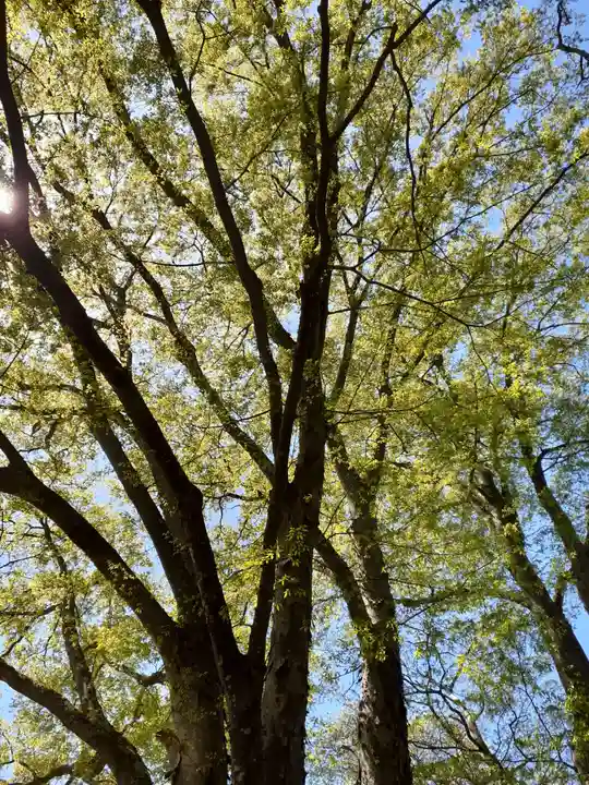 愛宕神社の自然