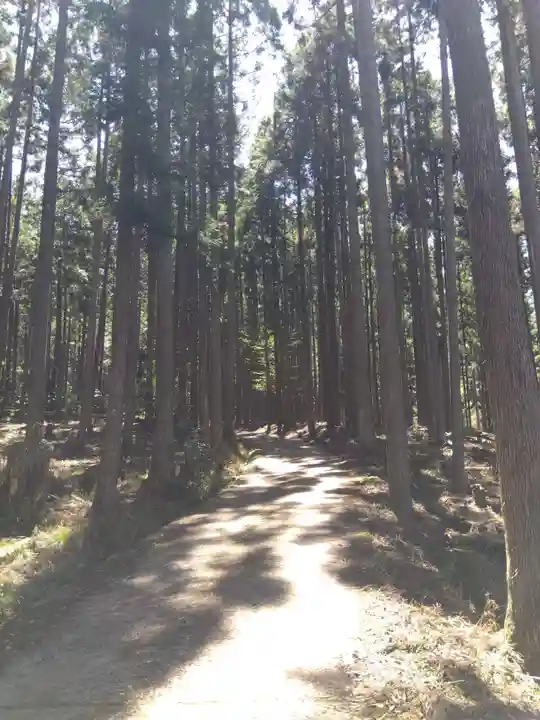 賀茂神社(京都府)