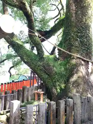 熊野那智大社(和歌山県)