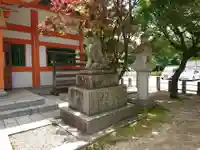 紅葉八幡宮の狛犬