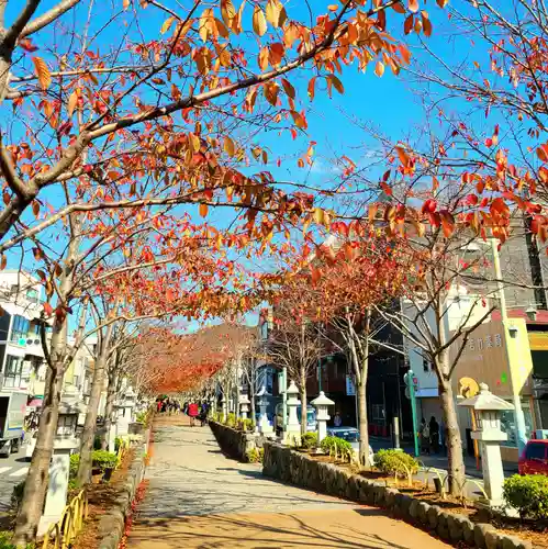 鶴岡八幡宮の自然