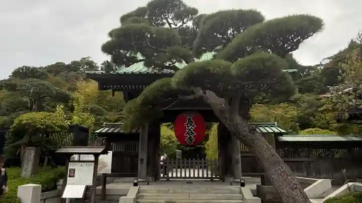 長谷寺の山門・神門