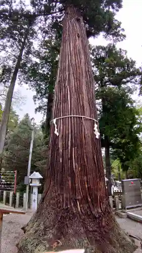 田村神社(滋賀県)