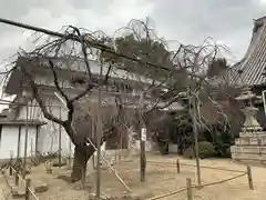 天寧寺(広島県)