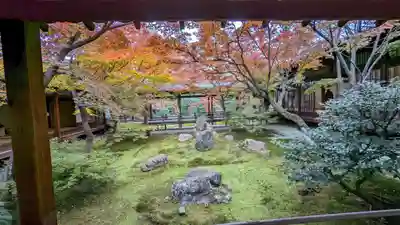 建仁寺（建仁禅寺）(京都府)