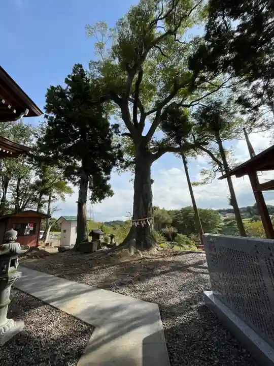 阿久津「田村神社」(郡山市阿久津町)旧社名:伊豆箱根三嶋三社のその他建物