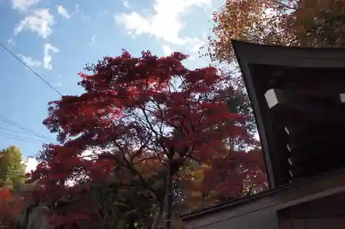 神橋(二荒山神社)の景色