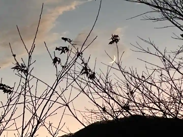 三峯神社(埼玉県)