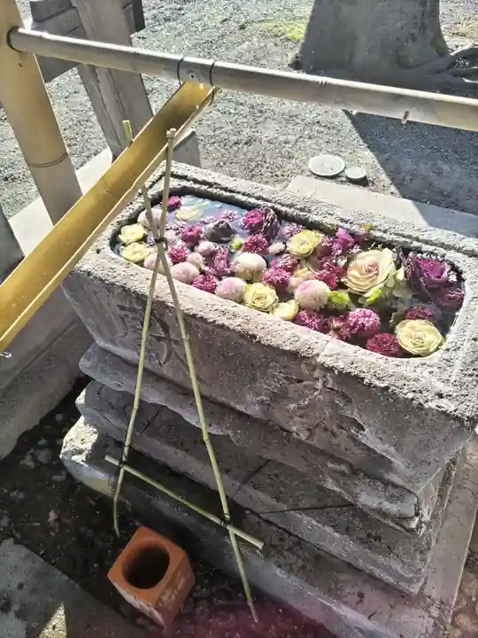 相模原氷川神社(神奈川県)