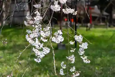 賀茂別雷神社（上賀茂神社）(京都府)