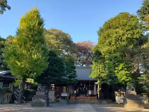 八幡神社の本殿・本堂