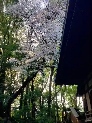 龍光寺(東京都)