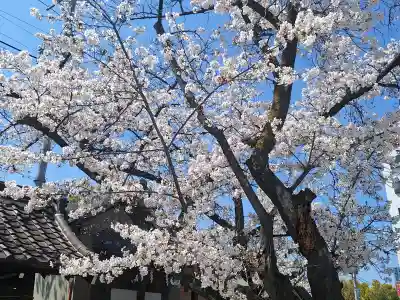 櫻宮の{uncategorized: "未分類", other: "その他", undefined: "問題あり", building: "その他建物", grave: "お墓", sacred_gate: "鳥居", guardian: "狛犬", statue: "像", buddha: "仏像", history: "歴史", nature: "自然", garden: "庭園", animal: "動物", pagoda: "塔", temizu: "手水舎", mountain_gate: "山門・神門", sanctuary: "本殿・本堂", subordinate: "末社・摂社", art: "芸術", scenery: "景色", jizo: "地蔵", ema: "絵馬", goshuin: "御朱印", omikuji: "おみくじ", items: "授与品その他", amulet: "お守り", goshuincho: "御朱印帳", eats: "食事", festival: "お祭り", votive_dance: "神楽", shichigosan: "七五三参", wedding: "結婚式", experience: "体験その他", initially: "初詣", around: "周辺", anti_infection: "感染症対策"}
