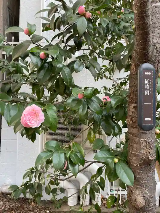 花園神社の自然