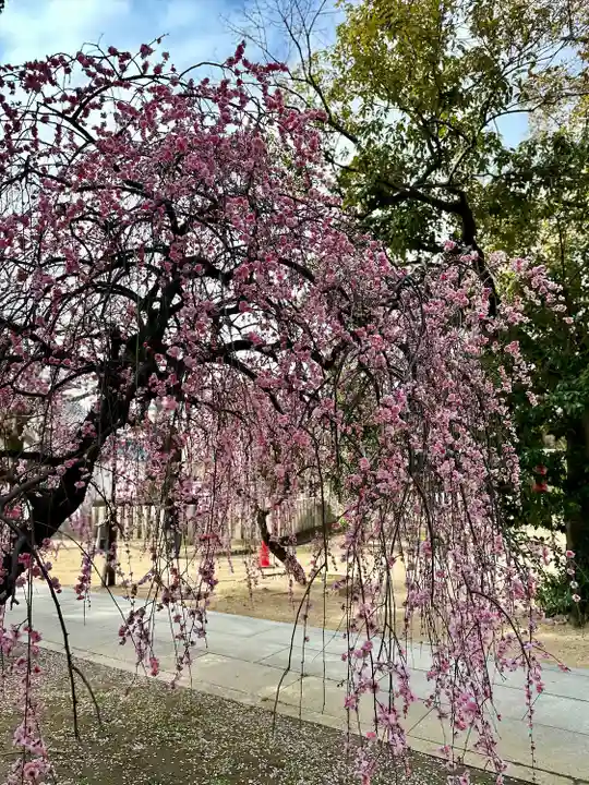 屯倉神社(大阪府)