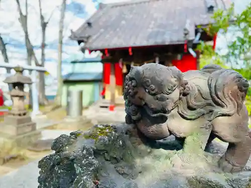 今井神社の狛犬