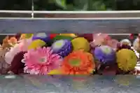 豊景神社の手水舎