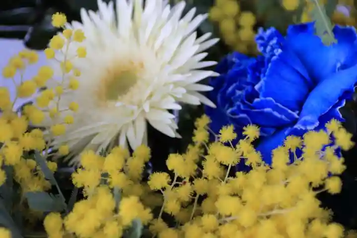 豊景神社の手水舎
