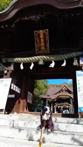 三津厳島神社の山門