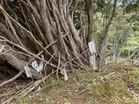 大山祇神社の自然