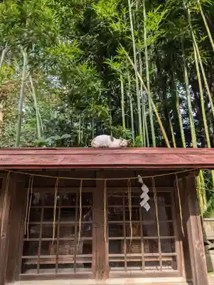 柏諏訪神社(千葉県)
