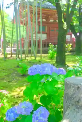 喜多院(埼玉県)