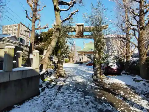 白鬚神社の鳥居