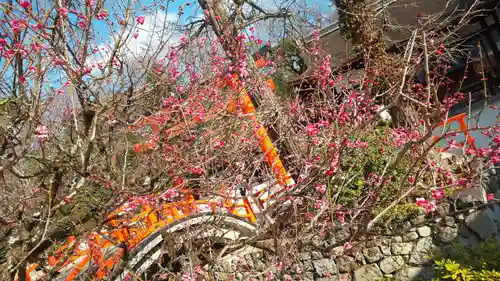 賀茂御祖神社（下鴨神社）の自然