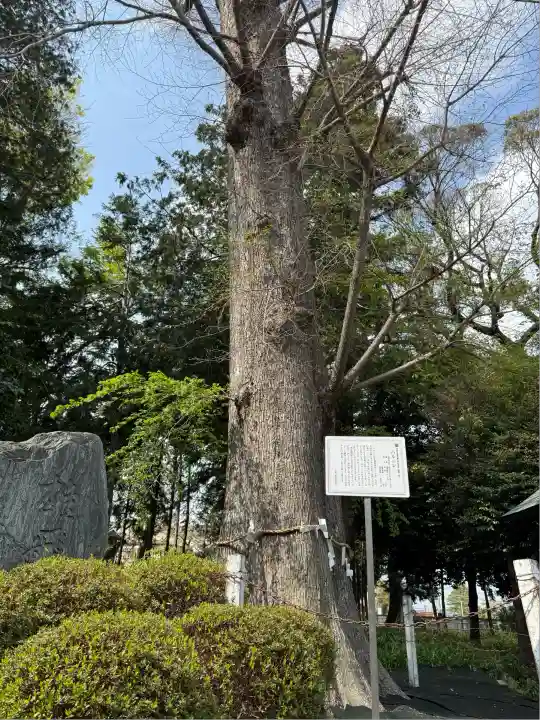 深見神社(神奈川県)