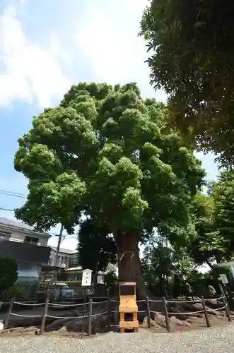日々神社(神奈川県)