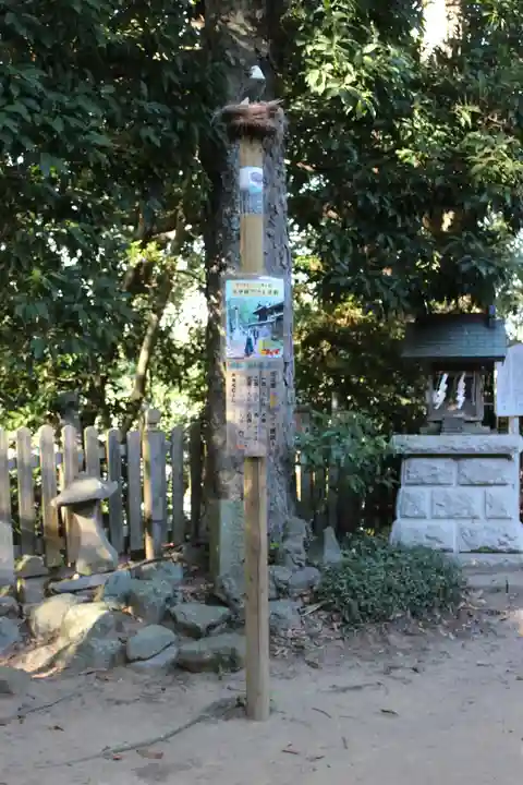 大鷲神社(千葉県)