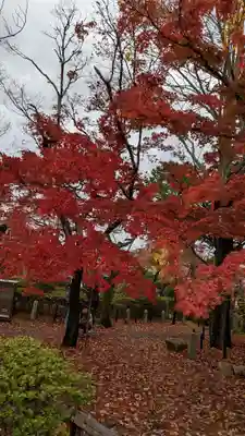 真正極楽寺(真如堂)(京都府)