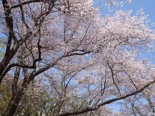 阿邪訶根神社の自然