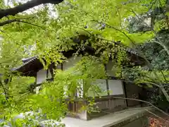 岩屋寺の建物その他