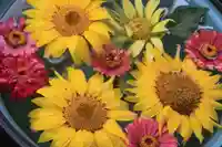 大鏑神社の手水舎