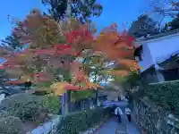 西教寺(滋賀県)